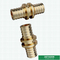 Equal Threaded Coupling PEX Brass Fittings Customized Logo