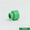 PPR Pipe Fittings PPR Coupling   PPR Socket ISO9001  DIN8077/8078  Colour OEM  size 20-160mm