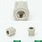 Ppr Female Threaded Socket , Energy Efficient Female Pipe Fitting With Oem Color