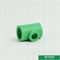 Casting Ppr Pipe Fittings Green Color , Iso9001 Ce Approval Ppr Reducing Tee