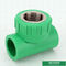 Din8077 / 8078 Ppr Pipe Fittings , Green Female Threaded Tee Good Impact