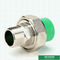 Customized Heavier Type Ppr Pipe Fittings Green Color Male Threaded Union