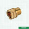 Brass Color Female Brass Inserts For Ppr Fittings Customized Designs