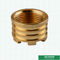 Female Brass Inserts Customized Designs For Ppr Fittings