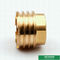 Customized Designs Precise Inserts Female Brass Inserts  For Ppr Fittings
