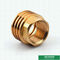 Customized Designs Precise Inserts Female Brass Inserts  For Ppr Fittings
