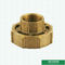 Brass Color Female Union For Ppr Fittings Customized Designs