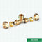 Male Threaded Tee Pex Fittings Brass Color Screw Fittings Customized Designs And Weight
