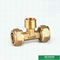 Female Threaded Tee Pex Fittings Brass Color Screw Fittings Customized Designs And Weight