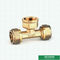Equal Threaded Tee Pex Fittings Brass Color ISO Standard Customized Designs And Weight