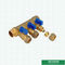 Two Ways To Six Ways Brass Water Separators Manifolds For Pex Pipe Customized Logo For Cold Water Supplying