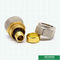Customized Female Threaded Coupling Compression Brass Fittings Screw Fittings For Pex Aluminum Pex Pipe