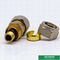 Customized Equal Threaded Coupling Compression Brass Fittings Screw Fittings For Pex Aluminum Pex Pipe