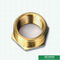 Double Female Threaded Coupling Plug Screw Fittings Compression Brass Fittings Pex Fittings For Pex Aluminum Pex Pipe