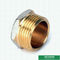 Double Male Threaded Plug Screw Fittings Compression Brass Fittings Pex Fittings For Pex Aluminum Pex Pipe