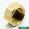 Brass Color Customized Logo Brass Hexagon Cap With Female Threads Pipe Fittings