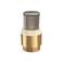 Customized Heavier Type Brass Check Valve Vertical Stainless Steel Filter For Water Pump