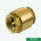 Customized Heavier Type Non Return One Way In-Line Brass Spring Check Valve With Plastic Pin