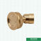 Customized Brass Garden Fittings 360 Degrees Adjustable Brass Water Fine Mist Sprayer Hose Nozzle