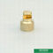 Customized Heavier Type Brass Water Injector Sprayer Nozzle