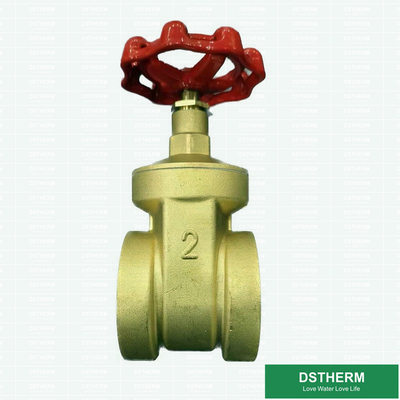 Flexible Ppr Coated Brass Gate Valve With Plastic Part 2 Inch