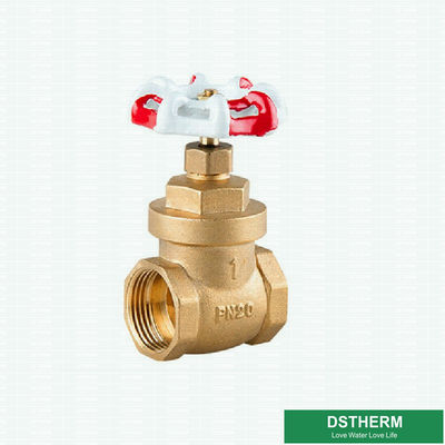 Customized 200 WOG BSPT NPT Big Style Brass Gate Valve  With Red White Iron Handle