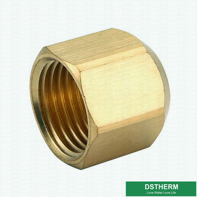 45 Degrees Brass Angle Flare Fitting Female Threaded Pipe Plug Pipe Fittings For Gas Pipe Fittings