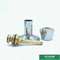 32mm Plastic PPR Stop Valve With Chrome Plated Pentagon Handle
