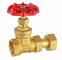 Flexible Brass Gate Valve Ball Check Valve With Union Connection