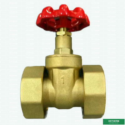 Flexible Brass Union Gate Valve With Plastic Ppr Part Ball Check Valve