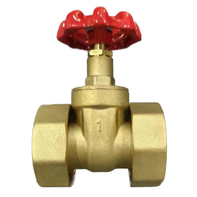 Flexible Brass Union Gate Valve With Plastic Ppr Part Ball Check Valve