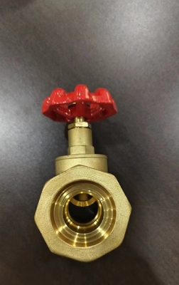 Flexible Brass Union Gate Valve With Plastic Ppr Part Ball Check Valve