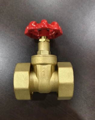 Flexible Brass Union Gate Valve With Plastic Ppr Part Ball Check Valve