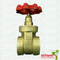 Flexible Brass Gate Valve With Plastic Part Ppr Coated Check Valve