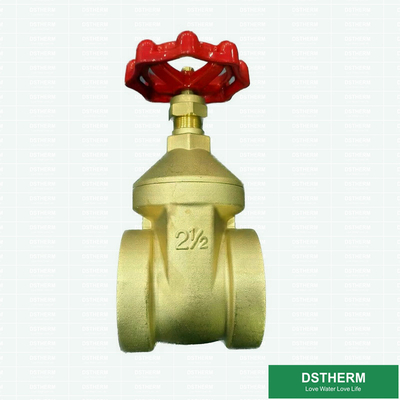 Flexible Ppr Coated Brass Gate Valve With Plastic Part 2 Inch