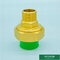 Customized Brass Color Heavier Ppr Fittings Threaded Union Male And Female ODM