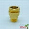 Brass Color Ball Valve Male Threaded Fittings Customized Weight 1/2'