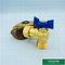 PN25 Screw Connector Brass Ball Valve With Check Square Union ISO9001