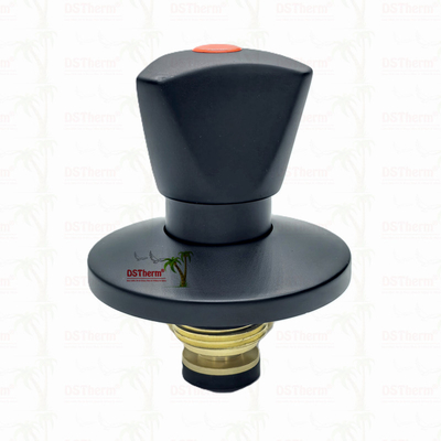 Ppr Black Plated Stop Valve With Triangular Handle BlackFlow Precision Valve Electrophoretic Black Coating 
