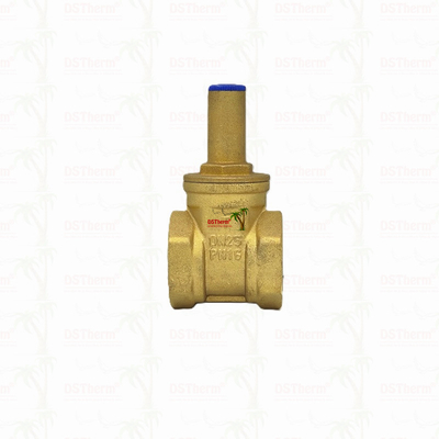 Brass Lock Gate Valve For Plumbing System Corrosion Resistance Customized Size