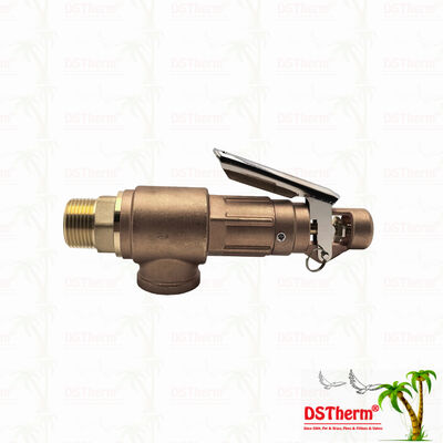 Brass Safety Valve 1/2"-2" Pipeline System Overpressure Protection Device Customized LOGO