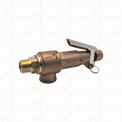 Brass Safety Valve 1/2"-2" Pipeline System Overpressure Protection Device Customized LOGO