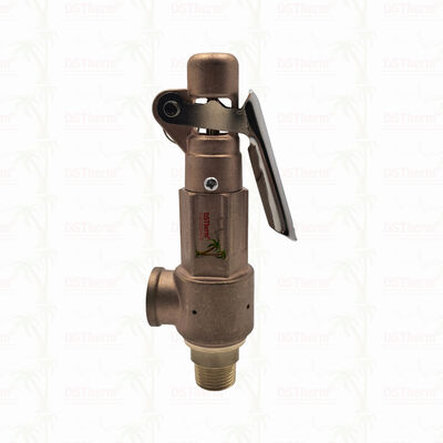 Brass Safety Valve 1/2"-2" Pipeline System Overpressure Protection Device Customized LOGO