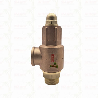 Brass Safety Valve 1/2"-2" Pipeline System Overpressure Protection Device Corrosion Resistant