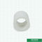 Round Head Code White PPR Plastic Water Pipe Fittings Coupler With Smooth Surface