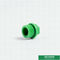 Recyclable Pipe Fittings Ppr Plug , Round Head Polyethylene Pipe Plugs