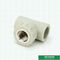Female Threaded Tee PPR Pipe Fittings Good Impact Strength DIN 8007 Standard