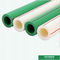 White Color Plastic PPR Pipe 6M Length PN20 Thickness Heat - Enduring