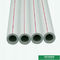 PPR Polypropylene Pipe ISO 9001 DIN 8077/8078  Polypropylene Color customization