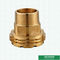 Brass Inserts For Ppr Fittings Male Inserts Germany Designs Lighter Types